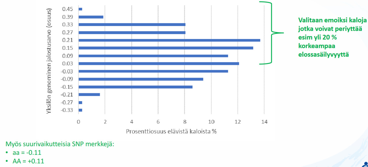 Screenshot 2022-10-24 at 11-31-49 Otsikko tähän - Kause_Kalakesa_2021_tar_toPDF-1.pdf.png