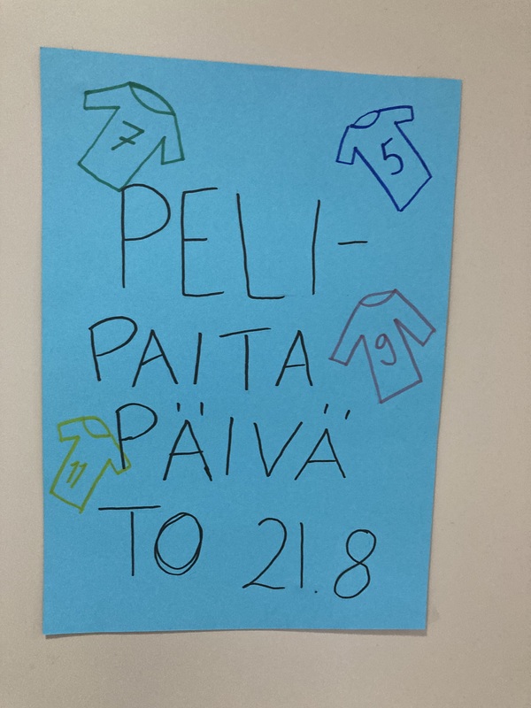 Pelipaitapäivä