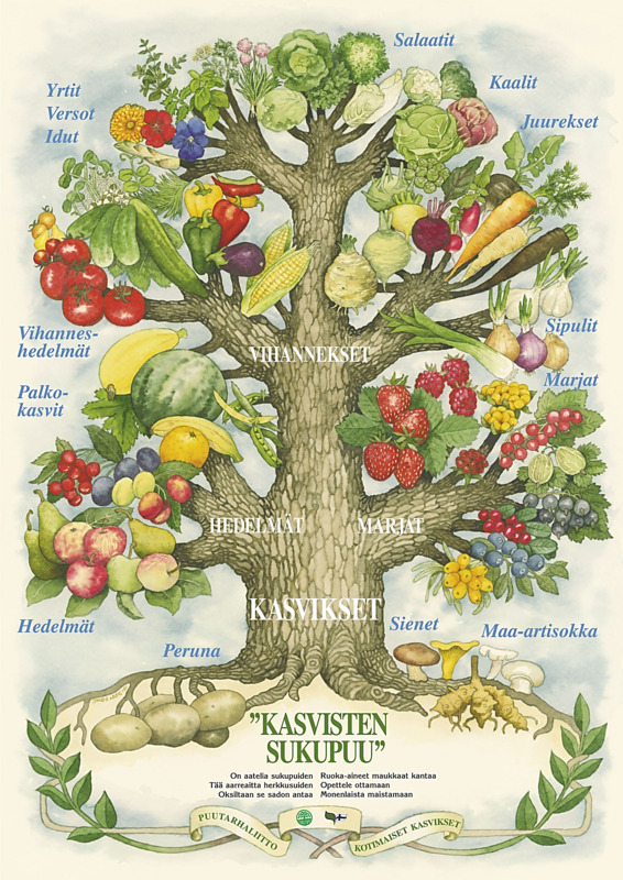 kasvikset.png