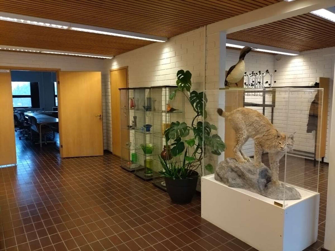 kunnantalon sisätilat
