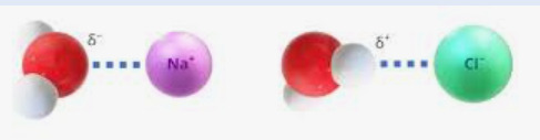 data_url_to_image_c5faf8.png