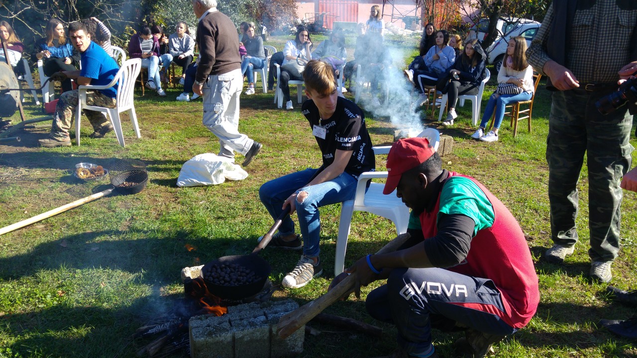 20181109_125416.jpg