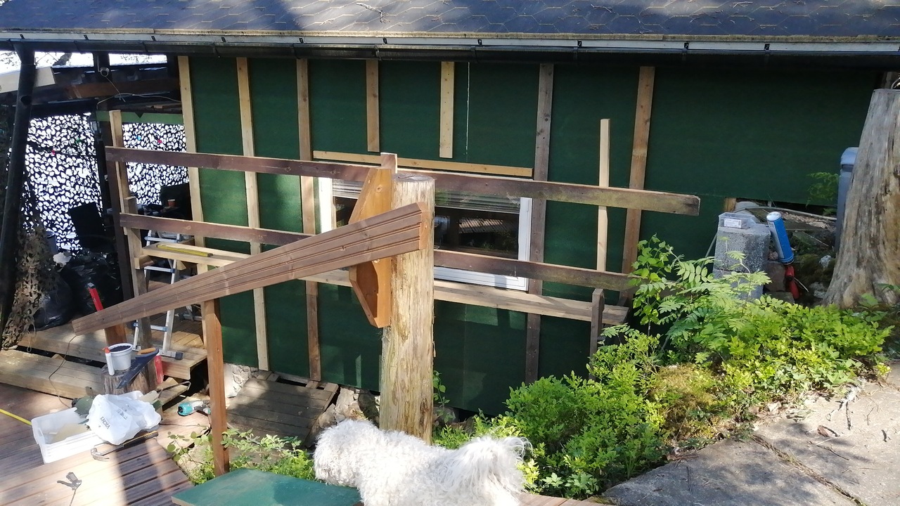 IMG-20210602-WA0004.jpeg