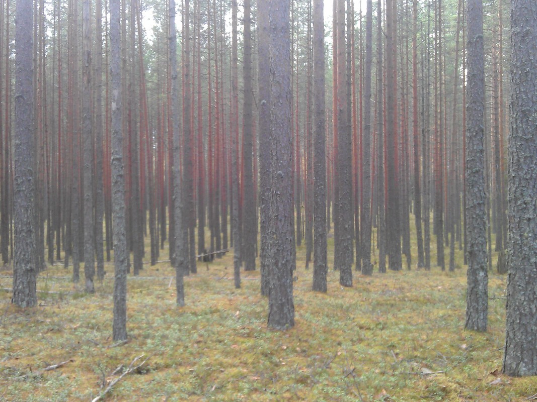 IMAG0142.jpg