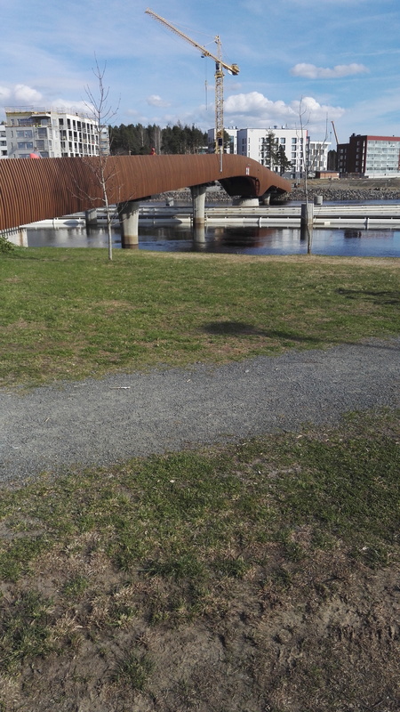 Pielisjoki