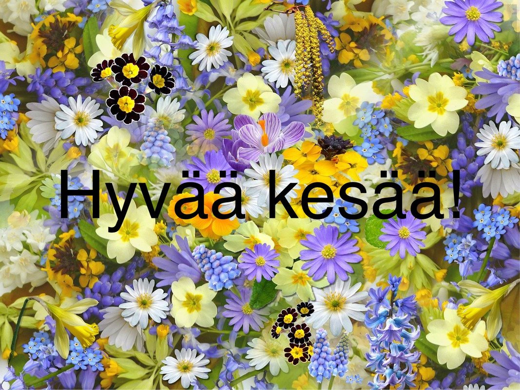 0A17431F-A369-4A1C-9F79-EEEB5E413D48.jpeg