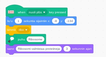 Screenshot 2019-05-06 at 09.16.58.png