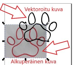 Kaksi kuvaa.jpg