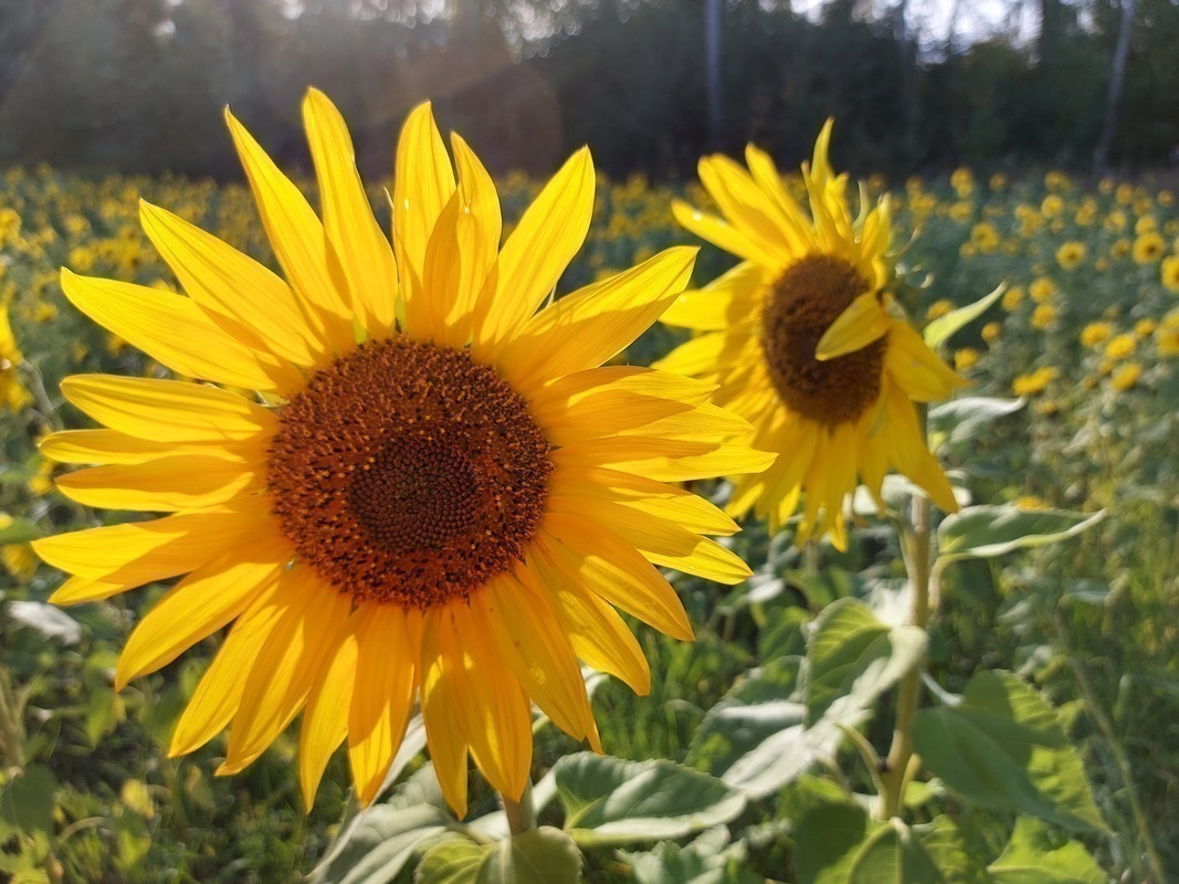 Onnistumisen hetkiä ja iloa lukuvuoteen!