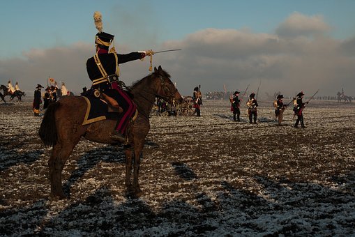 horse-3049583__340.jpg