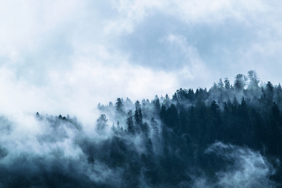 fog-1535201_960_720.jpg