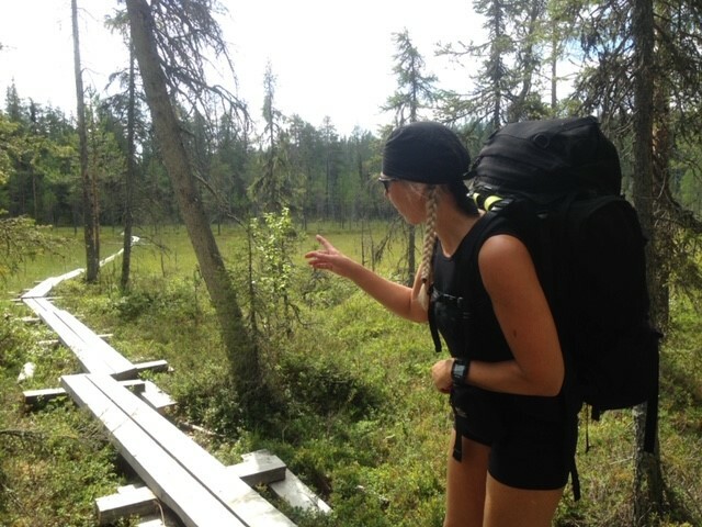Kuusamo pitkospuut.jpg