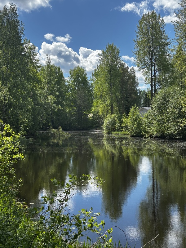 Pappilanjoki.jpeg