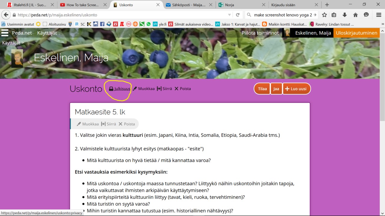 Näyttökuva (6).png