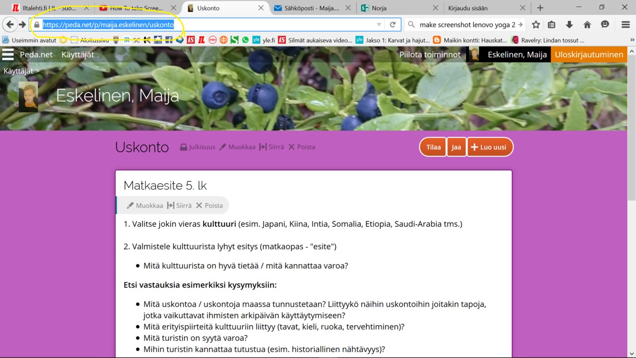 Näyttökuva (8).png