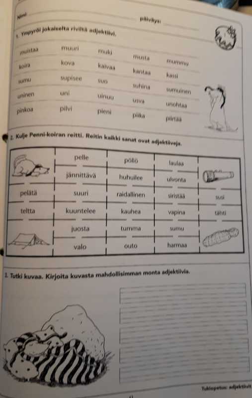 ayksi.jpg