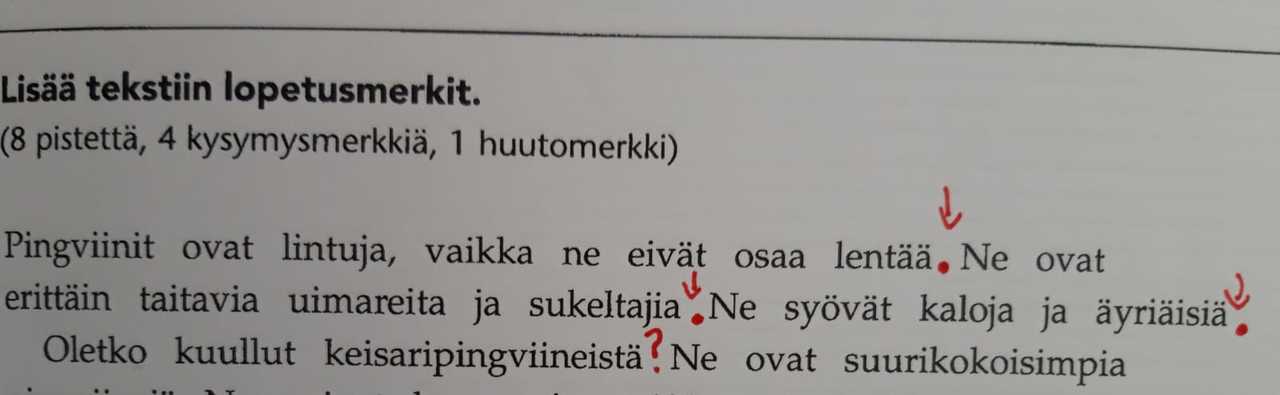 punakynä.jpg
