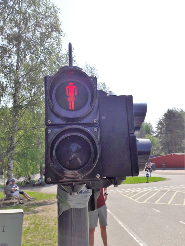 20190606_120015.jpg