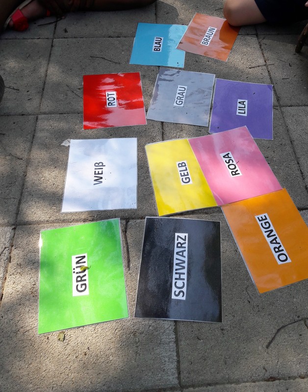 20190606_124956.jpg