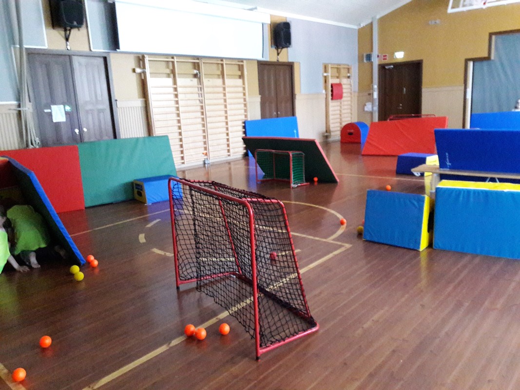 20190607_115101.jpg
