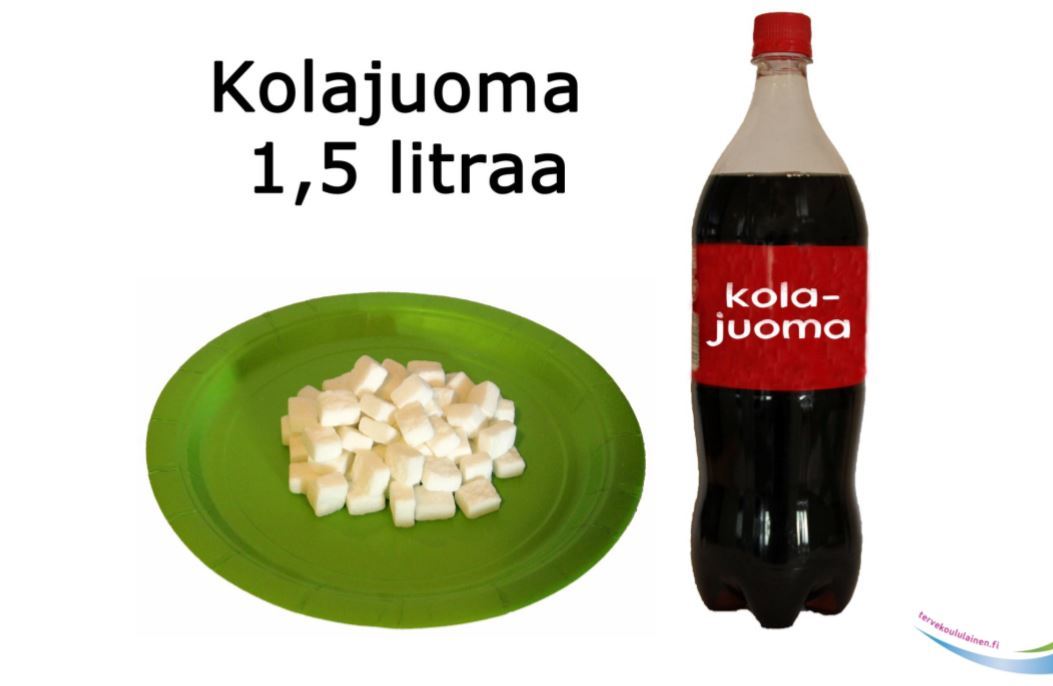 KOLA.JPG