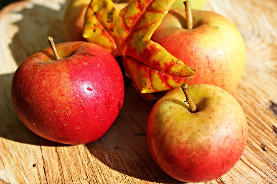 apple-496977_960_720.jpg