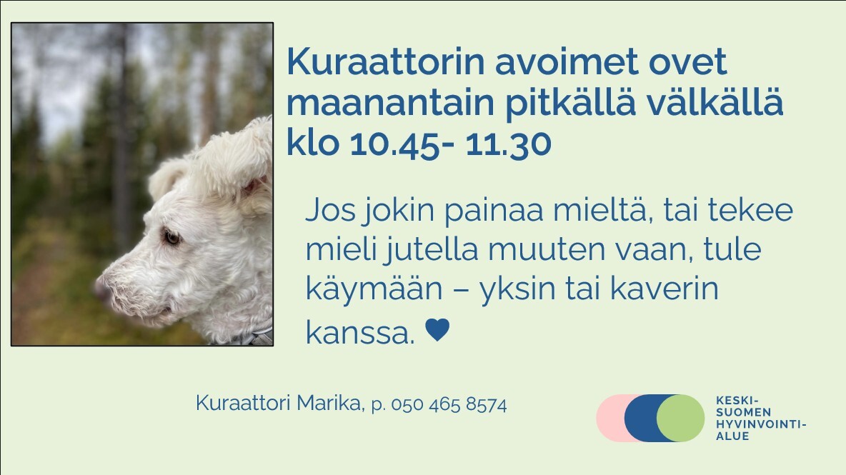 Näyttökuva 2.jpg
