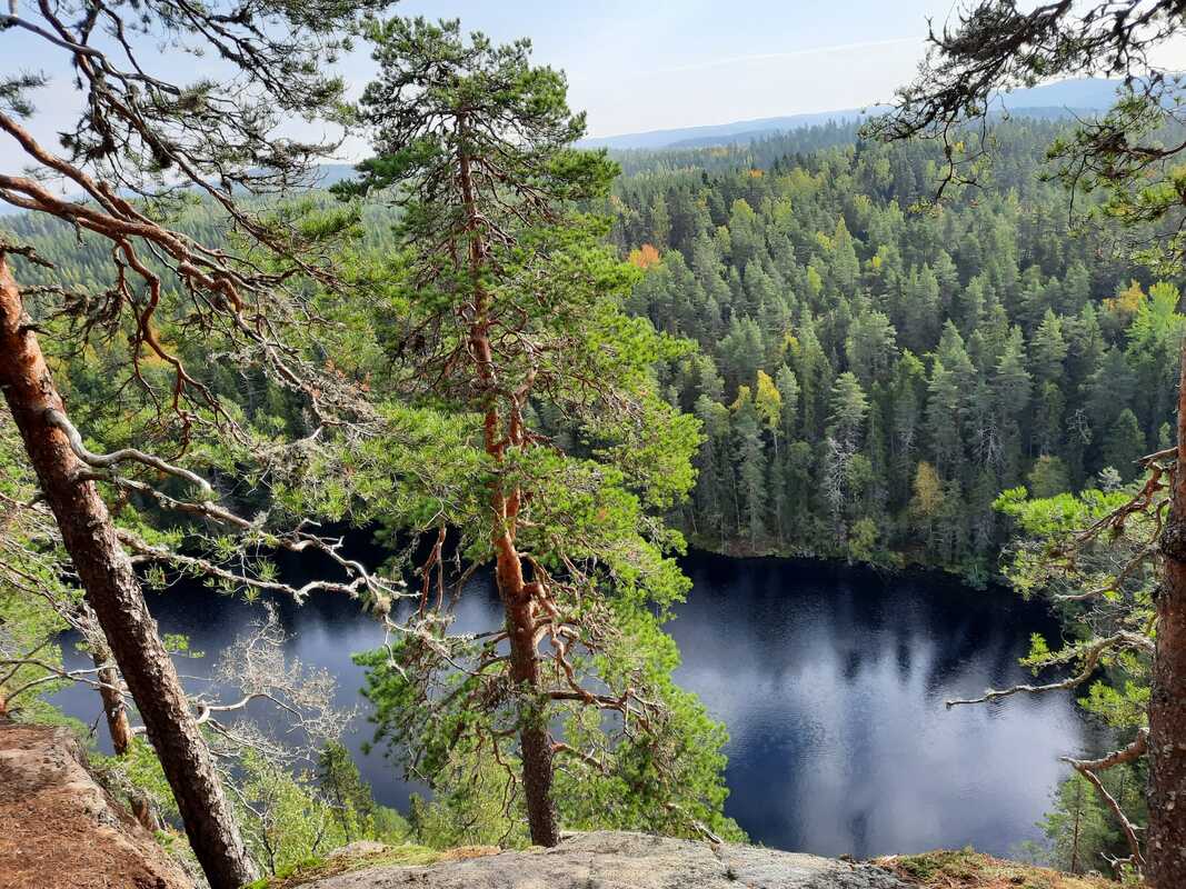 Scene from Kalaja mountain.jpeg