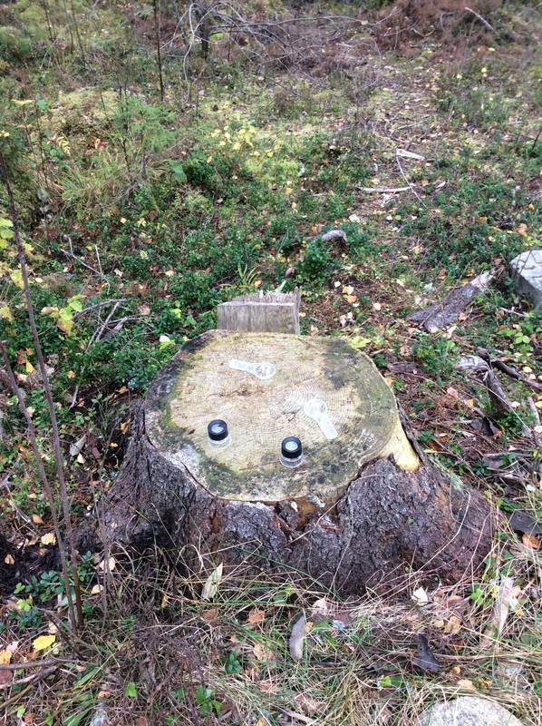 image.jpeg image.jpeg