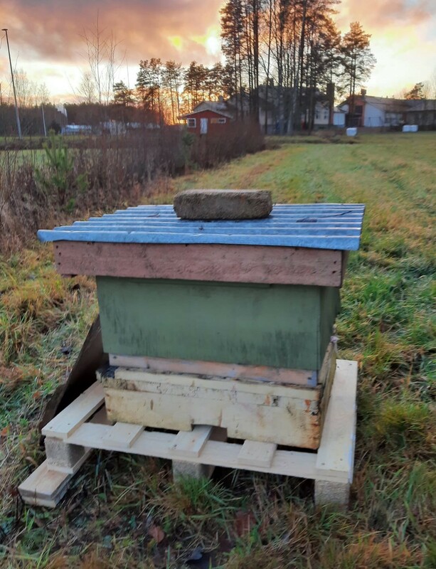 mehiläispesä.jpg