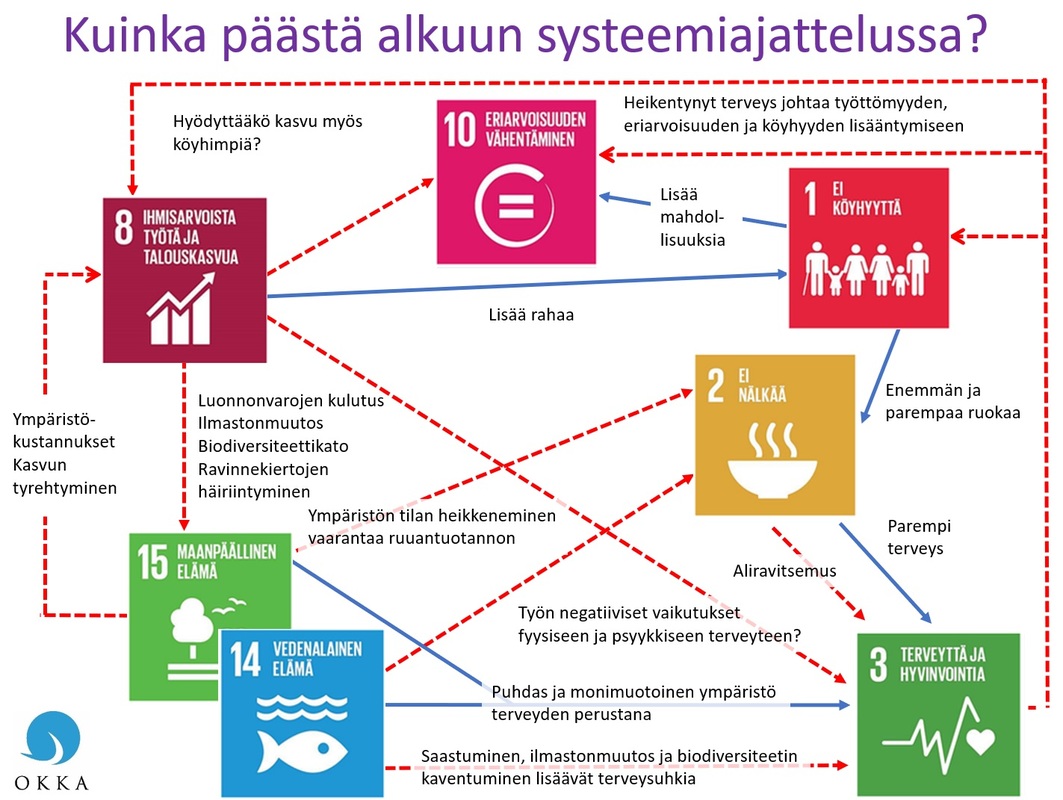Kuinka päästä alkuun systeemiajattelussa? Kuva 3. Agenda 2030:n tavoitteiden systeemistä oppimista voidaan harjoitella esimerkiksi kuvaamalla jostain tavoitteesta lähtien riippuvuuksia ja takaisinkytentöjä muihin tavoitteisiin. Kuvassa siniset nuolet esittävät positiivisia vaikutuksia ja punaiset katkoviivat negatiivisia vaikutuksia ja takaisinkytkentöjä. Kuva Erkka Laininen.