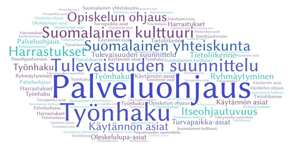 sanapilvi: Minkälaisissa asioissa maahanmuuttajat tarvitsevat ohjausta? Kuvassa on maahanmuuttajien ohjaustarpeet Eine Pakarisen tutkimuksen pohjalta.