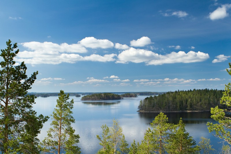 Suomi Järvi