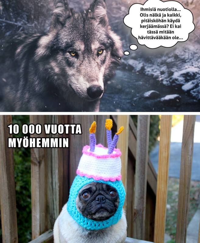ÄLYKÄSTÄ SUUNNITTELUA!.jpg