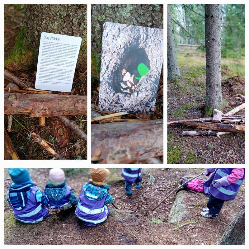 3-5 Vuotiaiden tunnekasvatusta metsÀssÀ. MinkÀ kokoinen on minun huoleni?