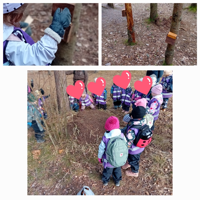 Muurahaisten herÀÀmisen seurantaa ja itsetehdyn aistipalapelin kokeilua.