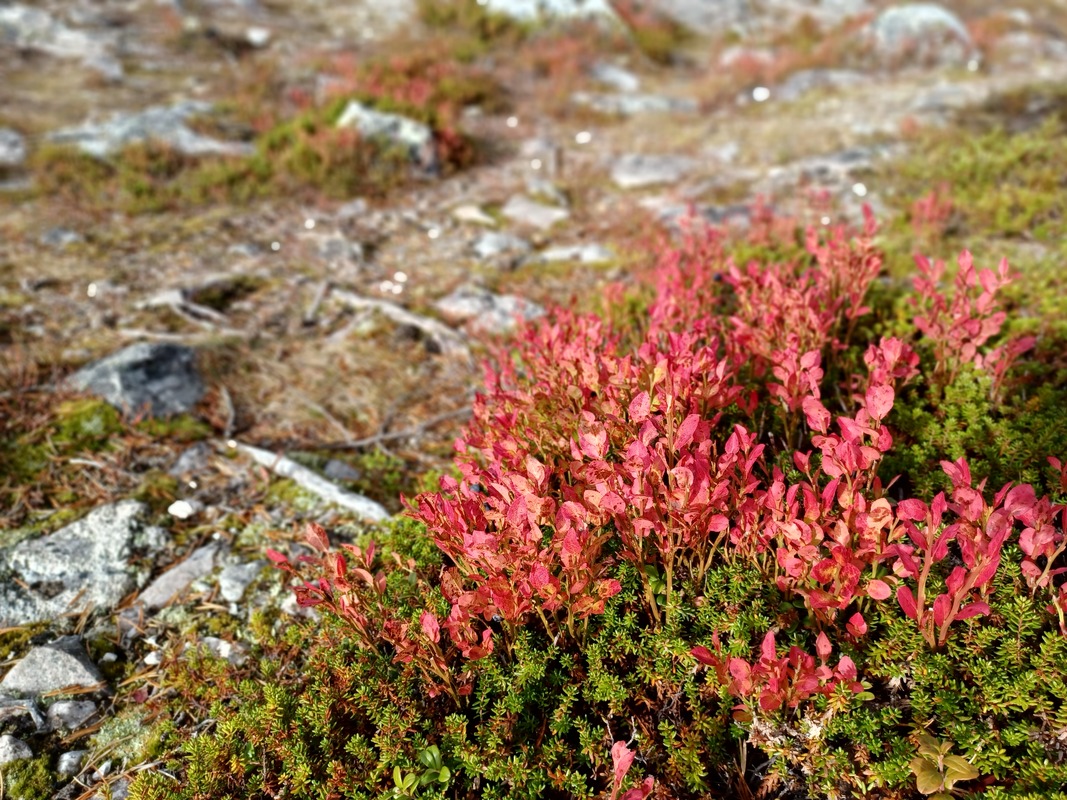 20260922_121214.jpg