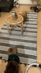 Kangaspuissa kudottu mustavalkoinen matto