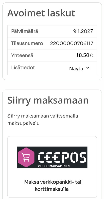 Kuvankaappaus_maksaminen verkkokaupassa3.jpg