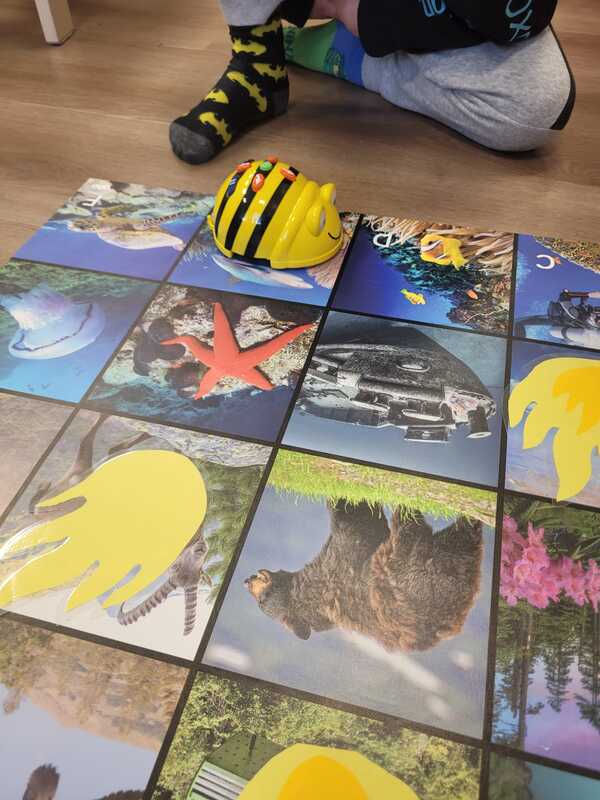 Koodausta bee-bot roboteilla