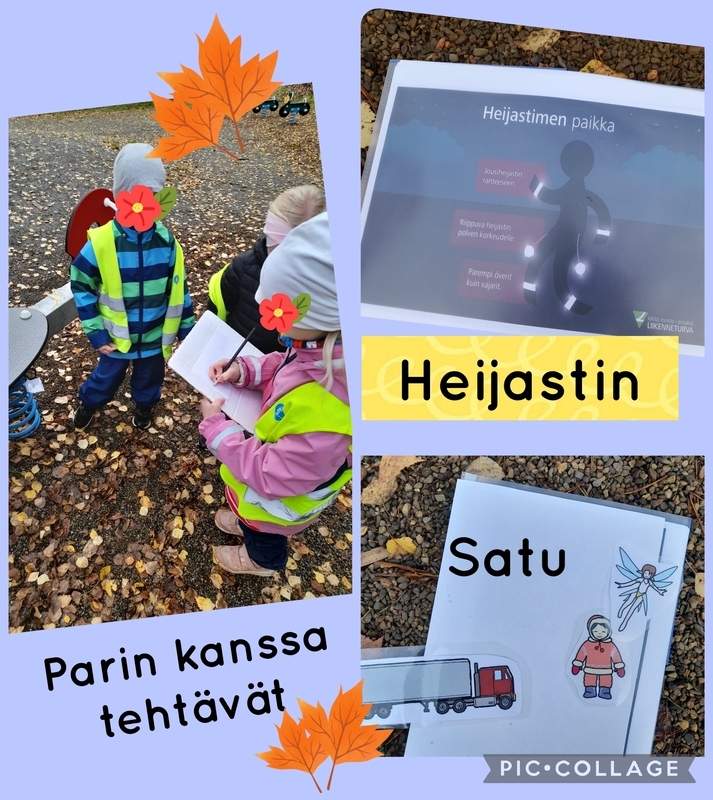 Luontoeskarissa heijastin teema