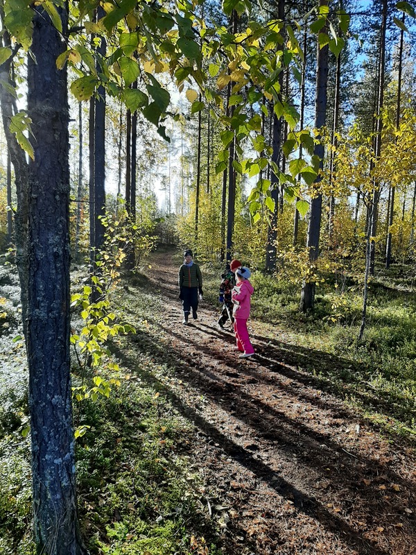 Kasvien ja eläinten etsintää
