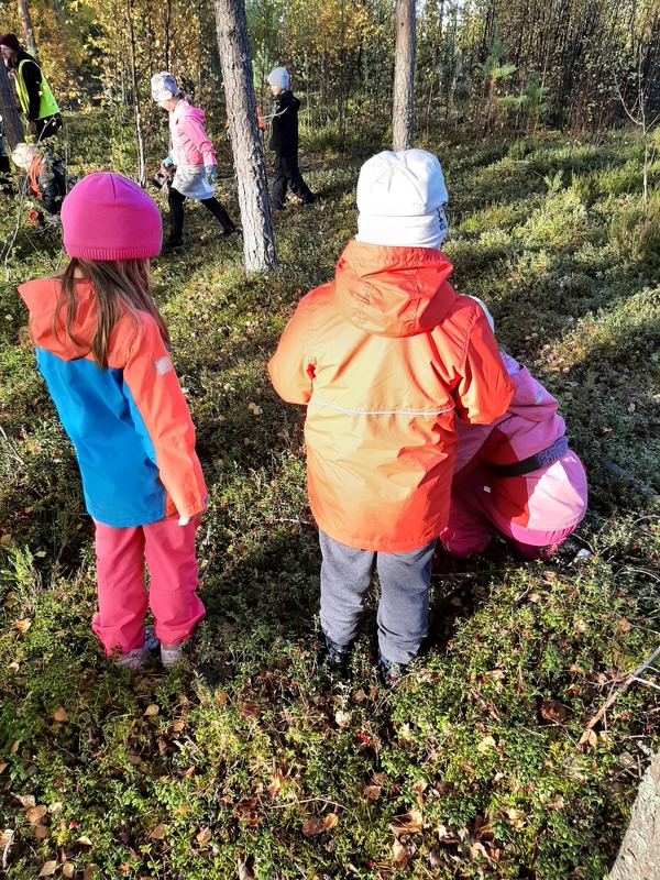 Kasvien ja eläinten etsintää