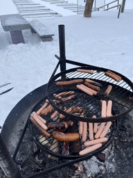 Grillaus