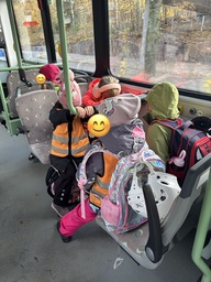 Bussimatka