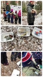 Pohdimme eskarissa 11.2 mm.millaisia jälkiä eläimet jättävät  talvella lumeen ja eläinten ravintoa. Tuntoaistin avulla arvuuttelimme, mitä pienessä, vihreässä pussissa mahtoi olla.