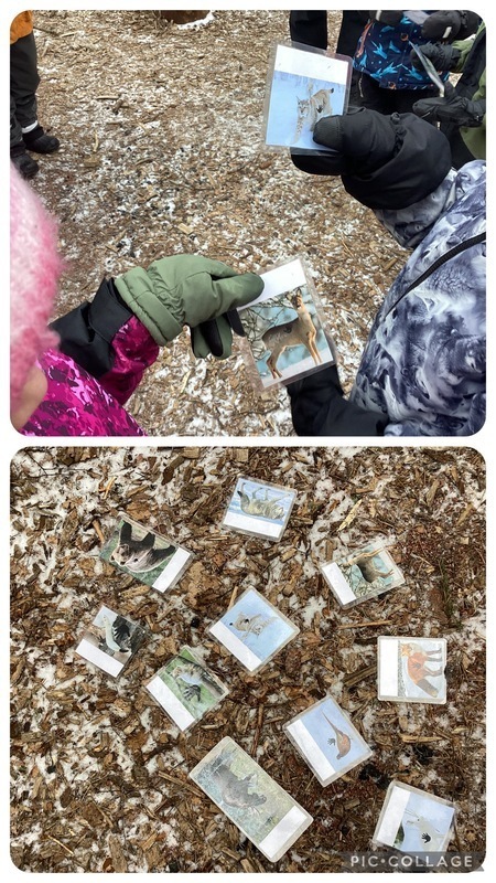 Luontokoulu Haili eskarissa 11.2. Metsän eläinten tunnistaminen kuvakortista.