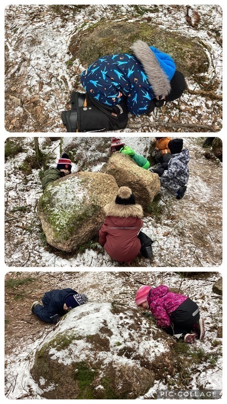 " Eläimet" käpertyneinä vaaran uhatessa ( Luontokoulu Haili).