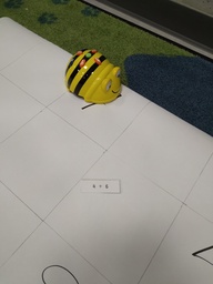 Beebot, laskutehtävä