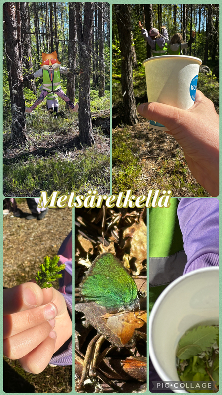 Kuusien viimeinen metsäretki Eskareissa🌼 Mukavaa yhdessäoloa, sisilisko, siltoja, muurahaisten temppurataa, keksiä ja mehua niistä on ihana retki tehty.🥰